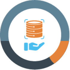 Data Migrations Icon